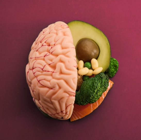 A model of half the human brain on side and a mixture of avocado, beans, broccoli and salmon on the other